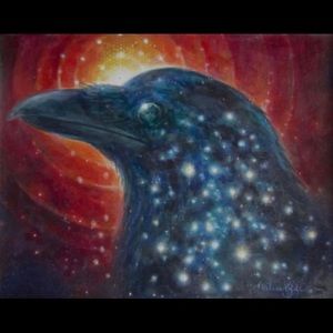 Meet your Posher, Mo